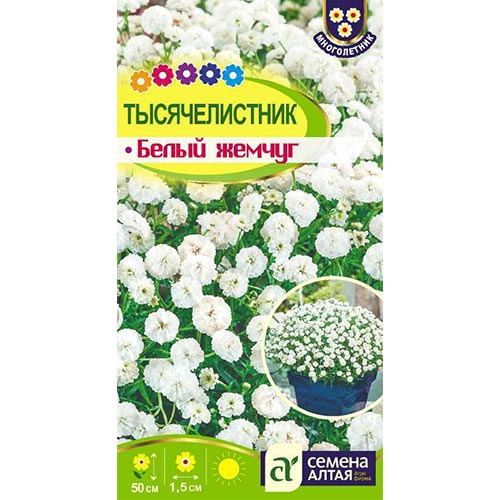 Тысячелистник (ахиллея) Белый жемчуг Семена Алтая изображение 1 артикул 94215