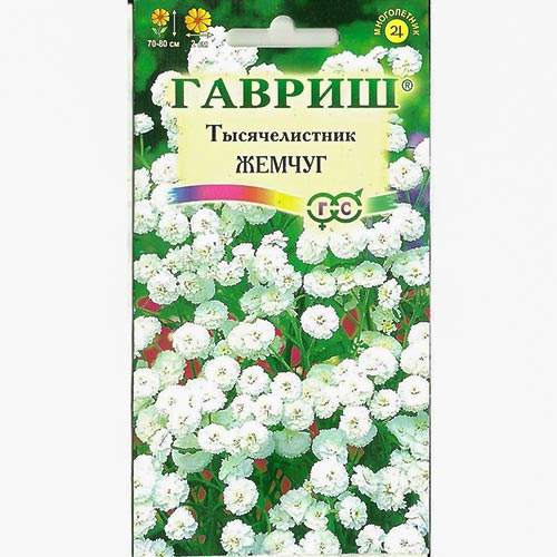 Тысячелистник (ахиллея) Жемчуг Гавриш изображение 1 артикул 92233