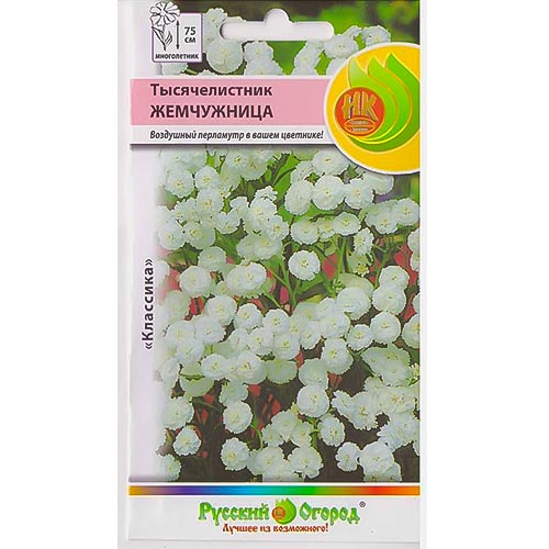 Тысячелистник (ахиллея) Жемчужница НК изображение 1 артикул 92637