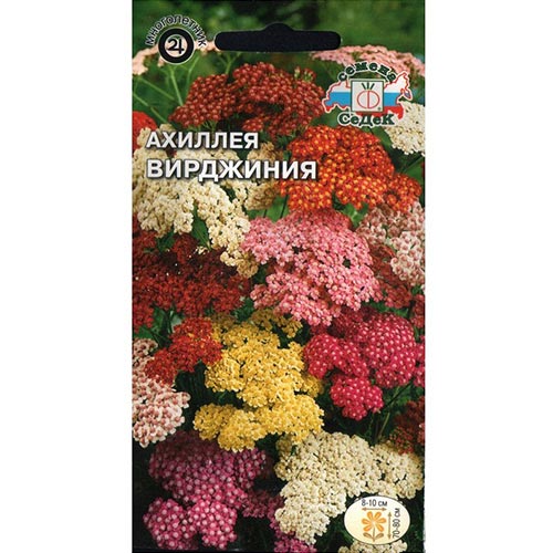 Тысячелистник (ахиллея) Вирджиния, смесь окрасок Седек изображение 1 артикул 93985