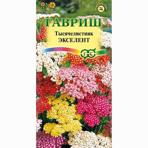 Тысячелистник Экселент, смесь окрасок Гавриш артикул фото 1 Тысячелистник Экселент, смесь окрасок Гавриш изображение 1 артикул 73754