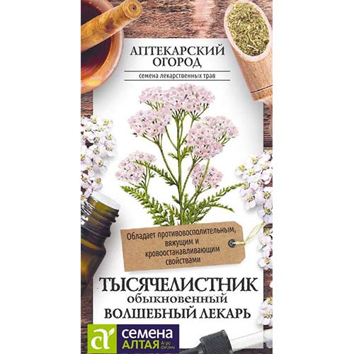 Тысячелистник Волшебный лекарь Семена Алтая артикул фото 1 Тысячелистник Волшебный лекарь Семена Алтая изображение 1 артикул 81589