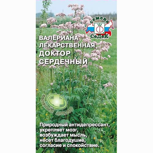 Валериана лекарственная Доктор сердечный Седек изображение 1 артикул 93297