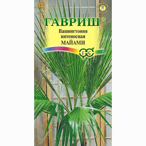 Вашингтония нитеносная Майами Гавриш изображение 1 артикул 85031