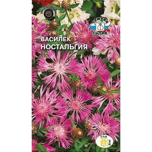 Василек Ностальгия Седек изображение 1 артикул 93684