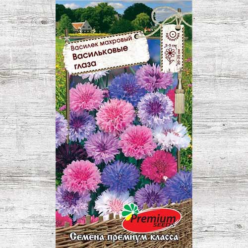 Василек Васильковые глаза, смесь окрасок изображение 1 артикул 83895