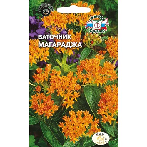 Ваточник Магараджа Седек изображение 1 артикул 93688