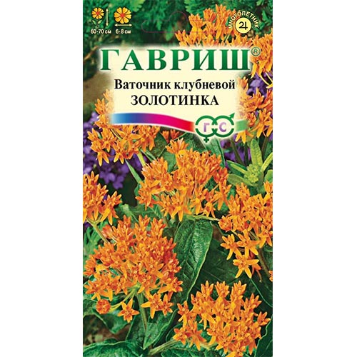 Ваточник Золотинка Гавриш изображение 1 артикул 91983