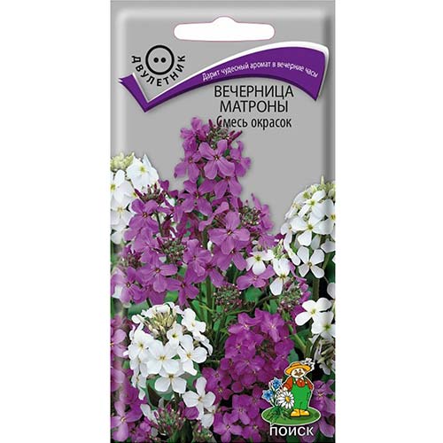 Вечерница Матроны, смесь окрасок Поиск изображение 1 артикул 82091