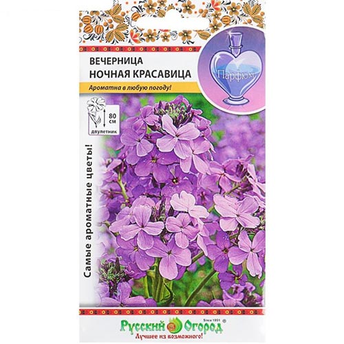 Вечерница Ночная красавица НК изображение 1 артикул 92476