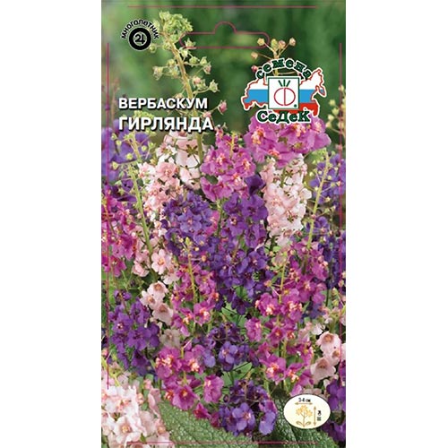 Вербаскум (коровяк) Гирлянда, смесь окрасок Седек изображение 1 артикул 93690