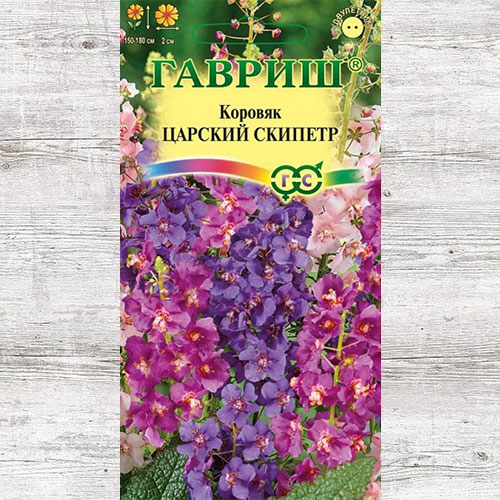 Вербаскум (коровяк) Царский скипетр, смесь окрасок Гавриш артикул фото 1 Вербаскум (коровяк) Царский скипетр, смесь окрасок Гавриш изображение 1 артикул 83188
