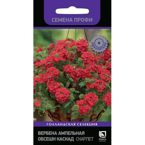 Вербена ампельная Обсешн Каскад Скарлет изображение 1 артикул 85592