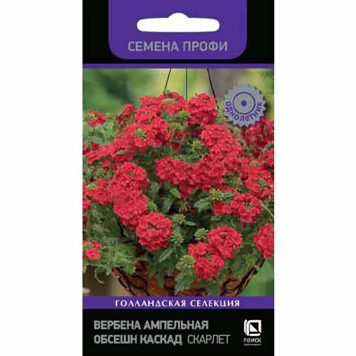 Вербена ампельная Обсешн Каскад Скарлет Поиск изображение 1 артикул 97869