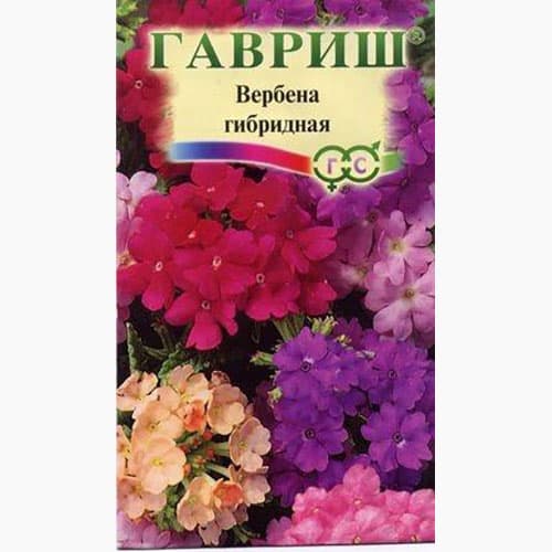 Вербена гибридная Романс, смесь окрасок Гавриш артикул фото 1 Вербена гибридная Романс, смесь окрасок Гавриш изображение 1 артикул 97626