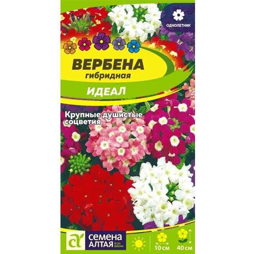 Вербена Идеал, смесь окрасок Семена Алтая артикул фото 1 Вербена Идеал, смесь окрасок Семена Алтая изображение 1 артикул 85605