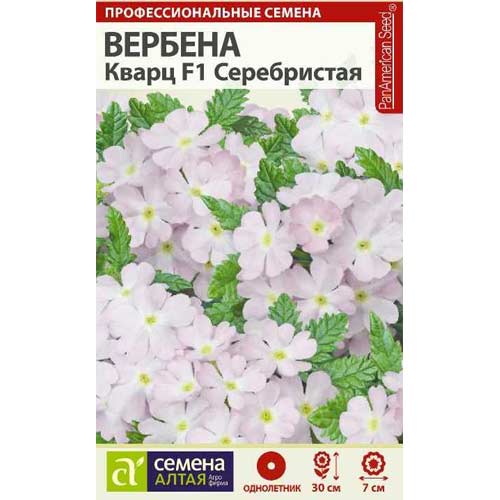 Вербена Кварц серебристая Семена Алтая артикул фото 1 Вербена Кварц серебристая Семена Алтая изображение 1 артикул 85606