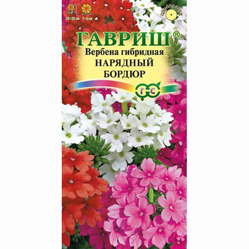 Вербена гибридная Нарядный бордюр, смесь окрасок Гавриш изображение 1 артикул 71143