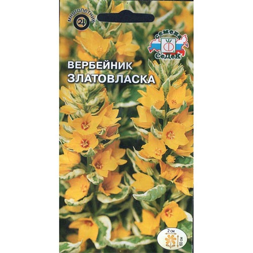Вербейник Златовласка Седек изображение 1 артикул 93691