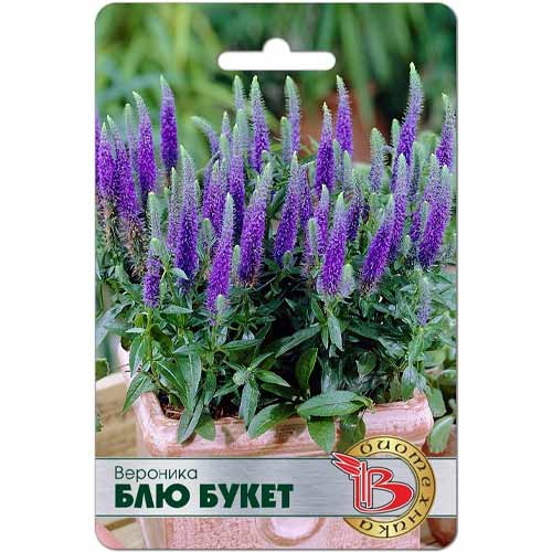 Вероника Блю Букет Биотехника изображение 1 артикул 40419
