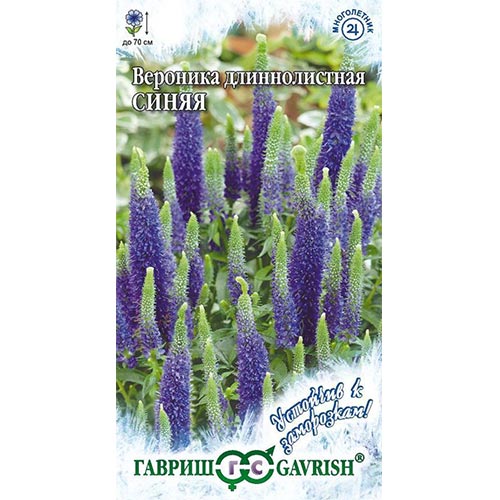 Вероника длиннолистная Синяя Гавриш изображение 1 артикул 91986