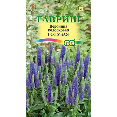 Вероника колосистая Голубая Гавриш изображение 1 артикул 91987
