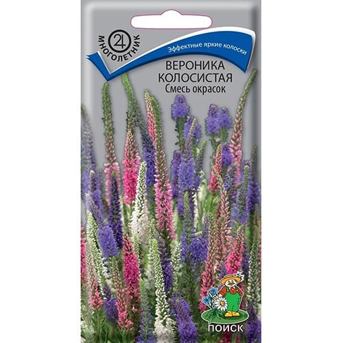 Вероника колосистая, смесь окрасок Поиск изображение 1 артикул 92920
