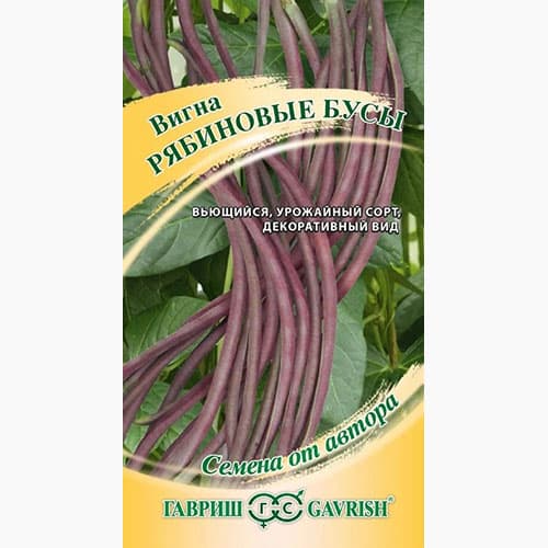 Вигна Рябиновые бусы Гавриш артикул фото 1 Вигна Рябиновые бусы Гавриш изображение 1 артикул 97405