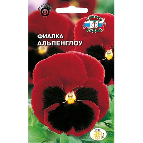 Виола Альпенглоу Седек изображение 1 артикул 93693