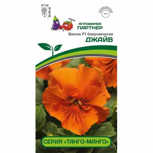 Виола бахромчатая Танго-Манго Джайв F1 Партнер изображение 1 артикул 88073