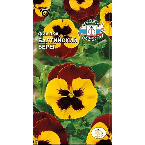 Виола Балтийский берег Седек изображение 1 артикул 93696