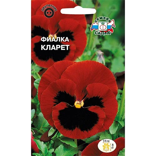 Виола Кларет Седек изображение 1 артикул 93704