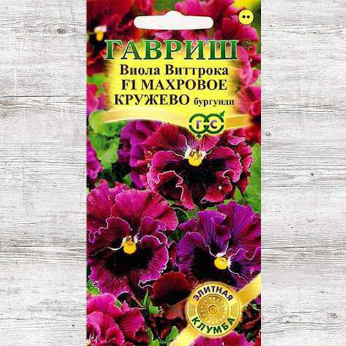 Виола Виттрока Махровое кружево Бургунди F1 Гавриш изображение 1 артикул 71152