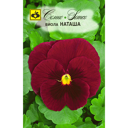 Виола Наташа Семко изображение 1 артикул 82657