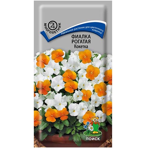 Виола рогатая Кокетка Поиск изображение 1 артикул 92924