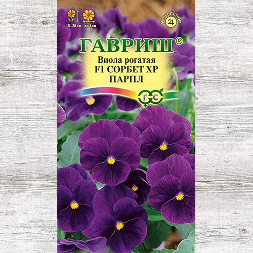 Виола рогатая Сорбет XP Парпл F1 Гавриш изображение 1 артикул 71160
