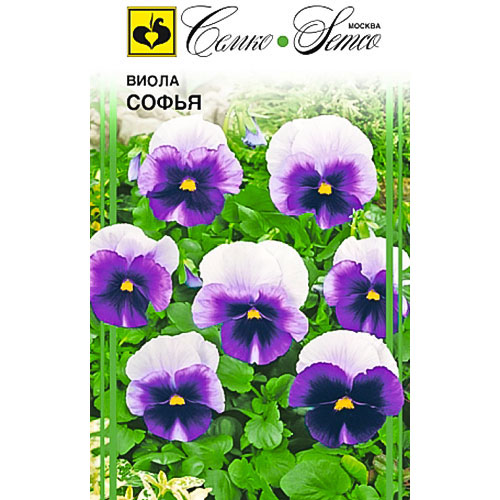 Виола Софья Семко артикул фото 1 Виола Софья Семко изображение 1 артикул 82670