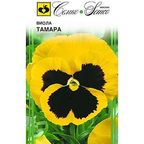 Виола Тамара Семко изображение 1 артикул 82660