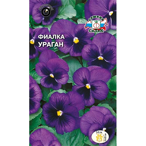 Виола Ураган Седек изображение 1 артикул 93714