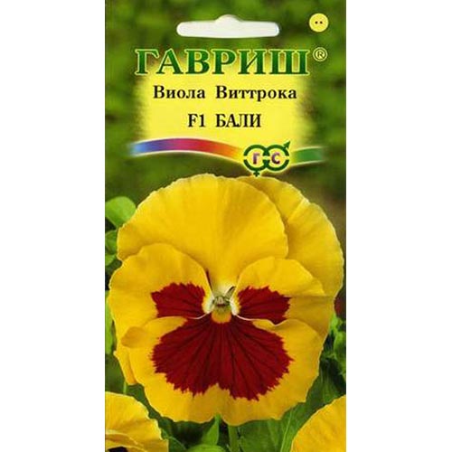 Виола Виттрока Бали F1 Гавриш изображение 1 артикул 91989