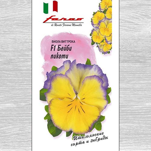 Виола Виттрока Бейби Пикоти F1 Гавриш изображение 1 артикул 73677
