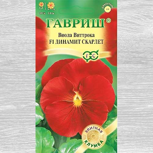 Виола Виттрока Динамит Скарлет F1 Гавриш изображение 1 артикул 82342
