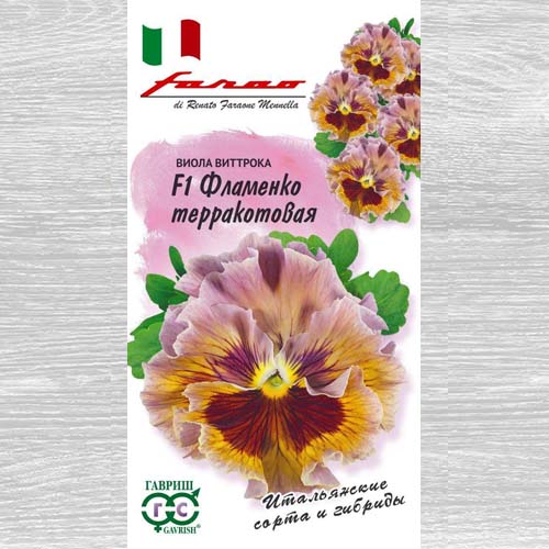 Виола Виттрока Фламенко терракотовая F1 Гавриш артикул фото 1 Виола Виттрока Фламенко терракотовая F1 Гавриш изображение 1 артикул 73694