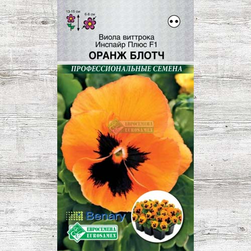 Виола Виттрока Инспайр Плюс Оранж Блотч F1 изображение 1 артикул 83450