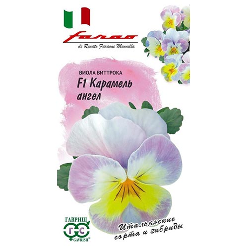 Виола Виттрока Карамель ангел F1 Гавриш изображение 1 артикул 91991