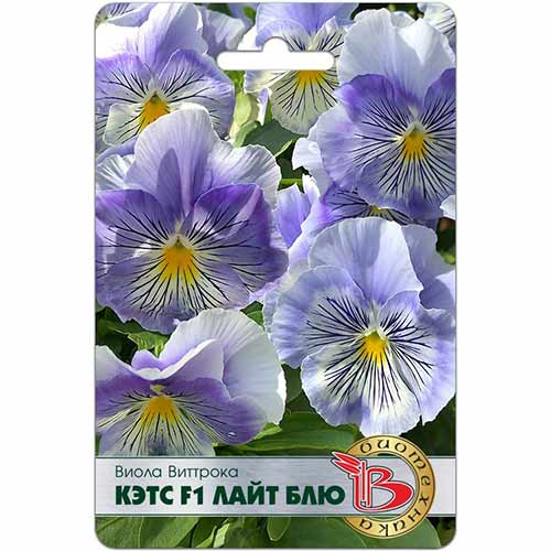 Виола Виттрока Кэтс Лайт Блю F1 Биотехника артикул фото 1 Виола Виттрока Кэтс Лайт Блю F1 Биотехника изображение 1 артикул 74815