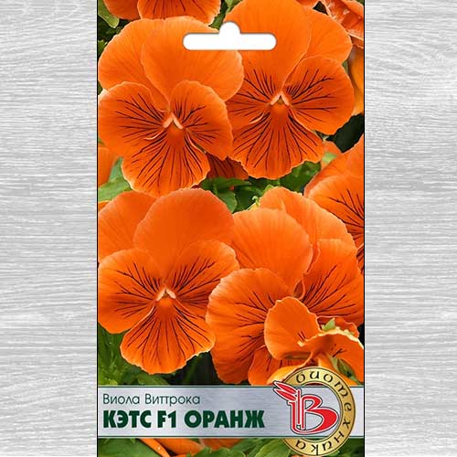 Виола Виттрока Кэтс Оранж F1 изображение 1 артикул 74816