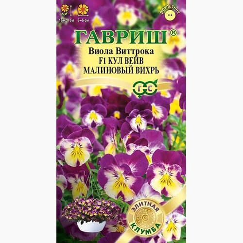 Виола Виттрока Кул Вейв малиновый вихрь F1 Гавриш изображение 1 артикул 97634