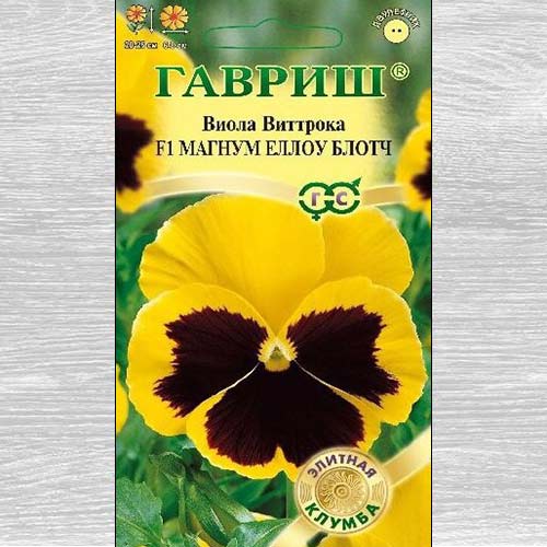 Виола Виттрока Магнум Еллоу Блотч F1 Гавриш изображение 1 артикул 73682