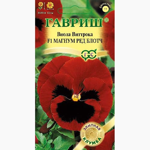 Виола Виттрока Магнум Ред Блотч F1 Гавриш артикул фото 1 Виола Виттрока Магнум Ред Блотч F1 Гавриш изображение 1 артикул 97640